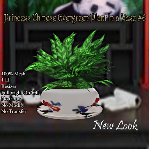 Princess Chinese Evergreen Plant in a Vase #6 Mesh