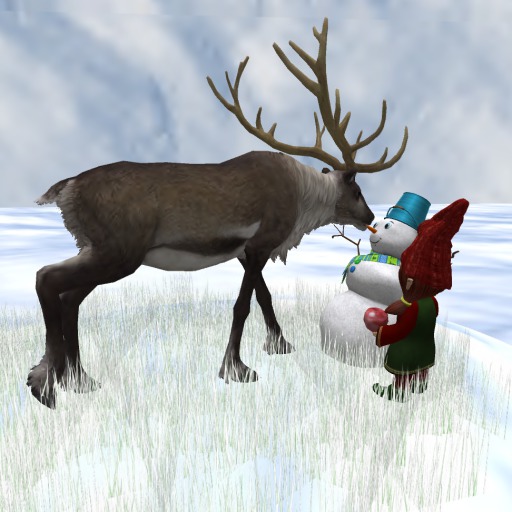 Reindeer steals Nose
