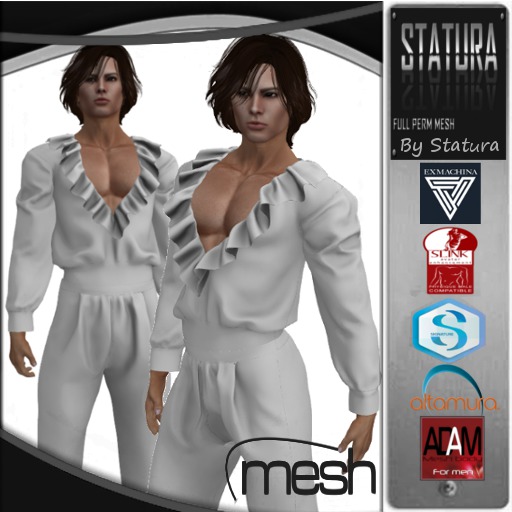 Role-shirt-Full Perm DEMO