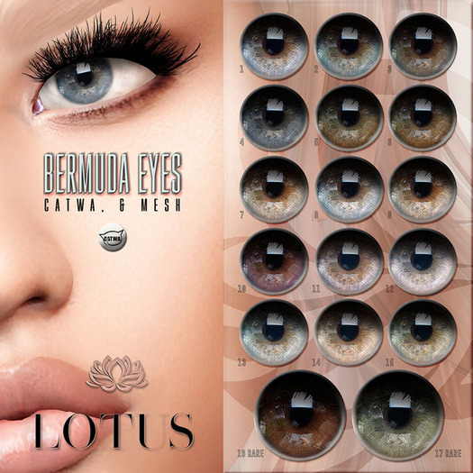 LOTUS. Bermuda Eyes 17 RARE