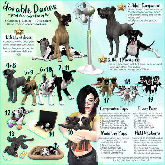 JIAN 'dorable Danes 17. Fawn Held Newbown  BOX