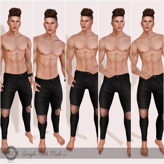 -IC Poses- Single Pack Male 2 - wear/add to unpack