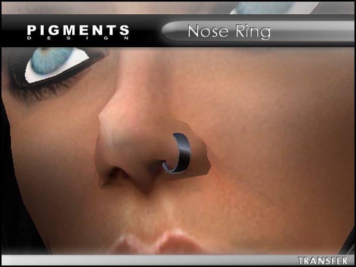 PIGMENTS - Nose Ring - Black Titanium