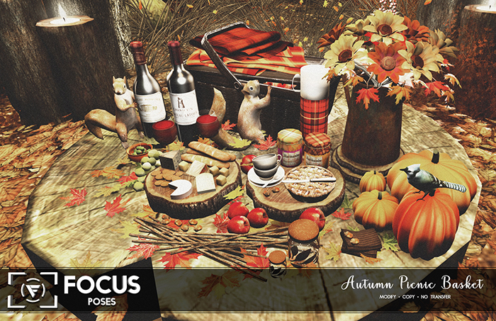 [ Focus Poses ] Autumn Picnic Basket