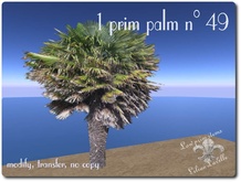 1prim palm n.49 9x9x10m MT