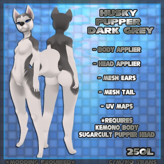 Husky Pupper D.Grey