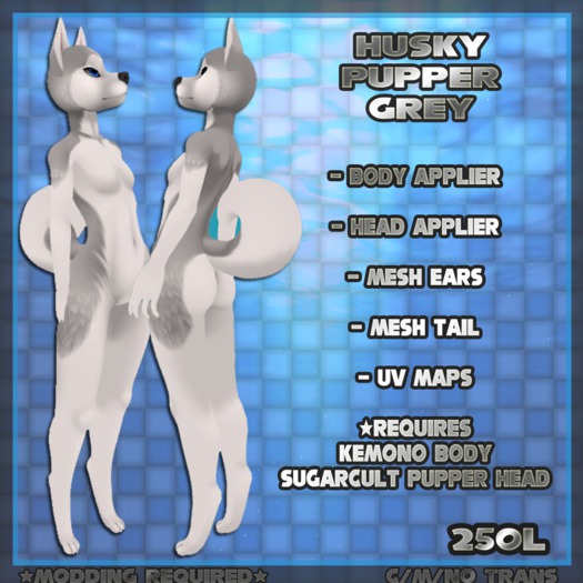 Husky Pupper Grey