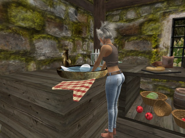 Kitchen module -sink-do dishes anim DEMO