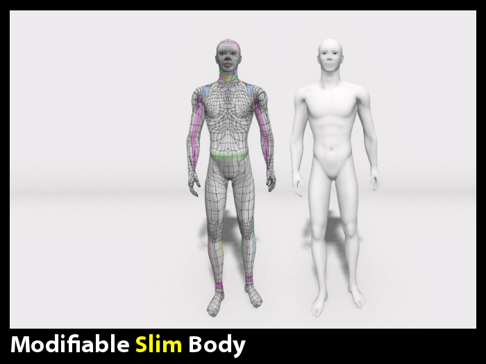 Modifiable Slim Body