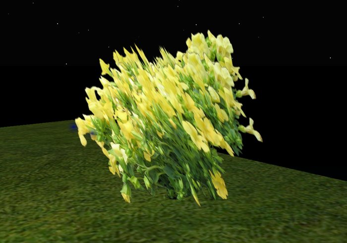 Flexible Flower Unity rose