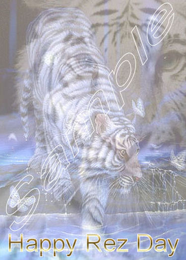 White Tiger Rez Day Birthday Greetings Card