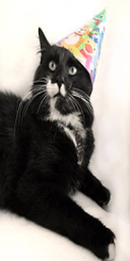 Happy Birthday Customizable Card 6