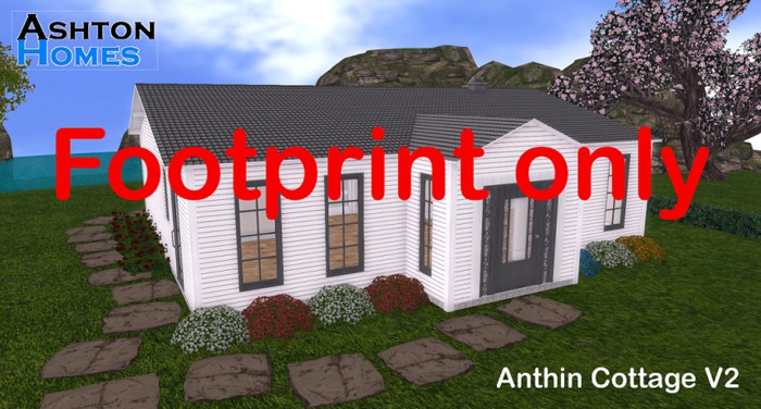 Anthin Footprint