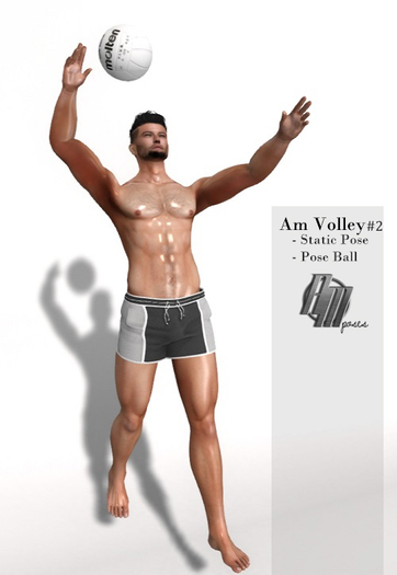 Am Pose Volley #2 - (Wear)