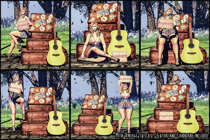 Absolute Poses - Traveler Girl