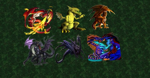 DRAGON RUG COLLECTION