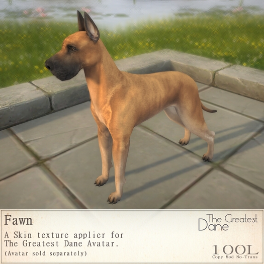 The Greatest Dane - Skin Fawn