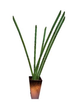 AA Copper planter with Bamboo