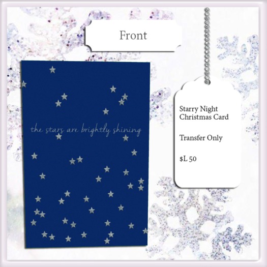 ~FS~ Starry Night Christmas Card
