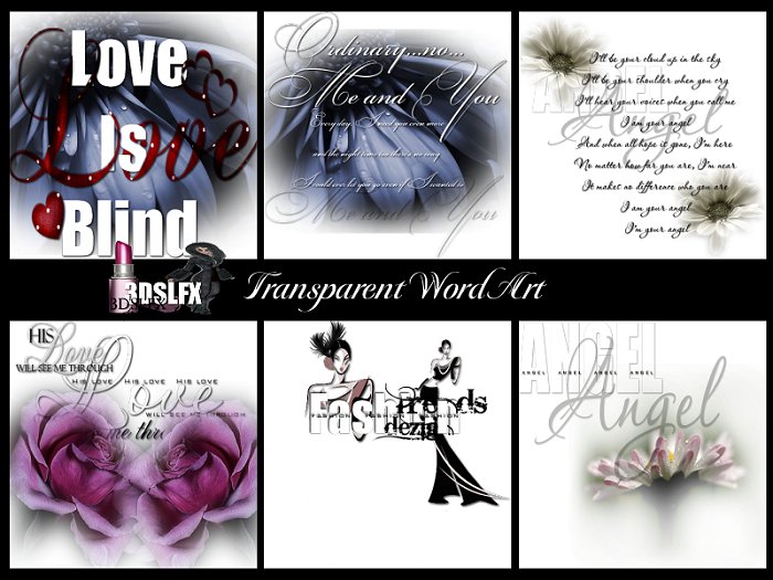 3DSLFX WA Transparent Images/BGS