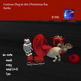 Curious Dog In santas sac-barks Xmas -sac