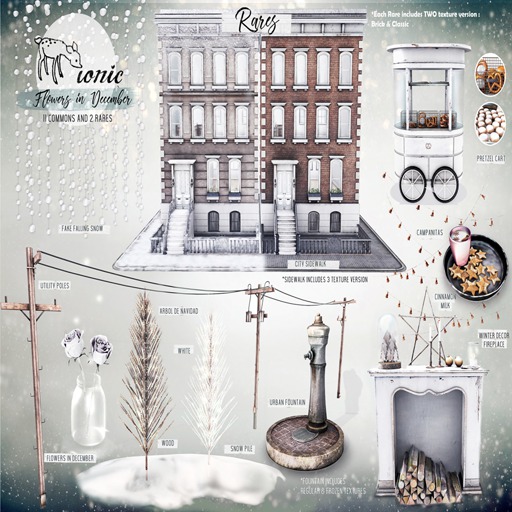 ionic : Flowers in December