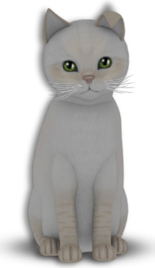 KittyCatS Box - 5T Bal Cream C Gen Meadow