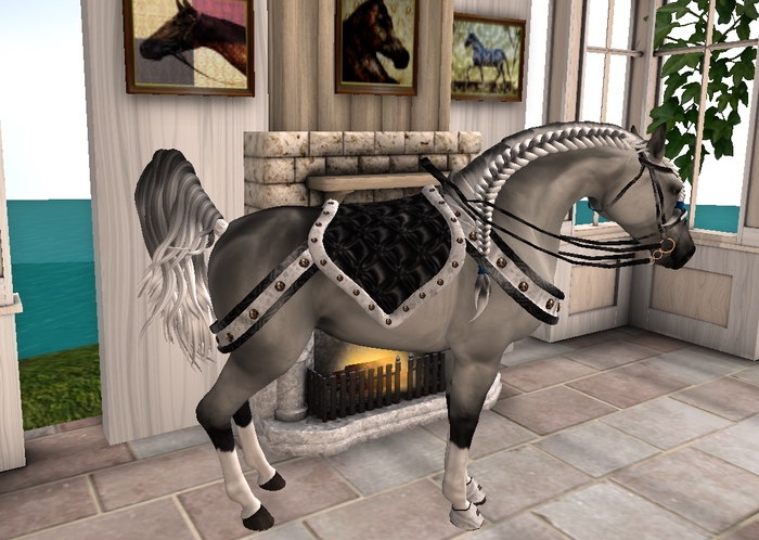 Rococo - Baroque Parade Tack - Obsidian Dream Elegance