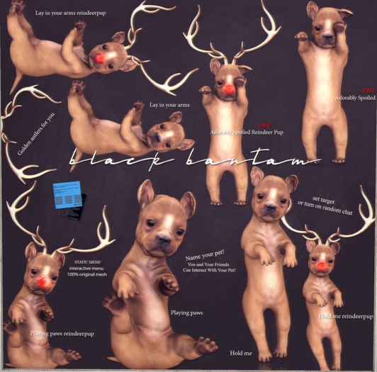 *[Black Bantam] Adorably Spoiled Pup RARE