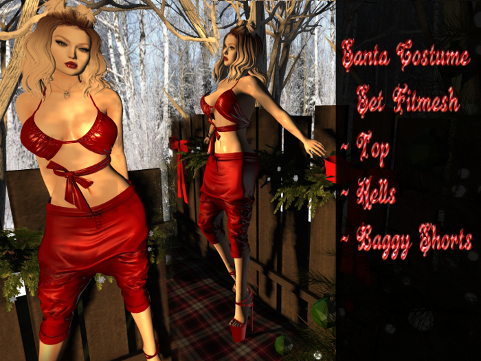 Sh! Santa Costum