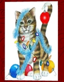 Christmas Card Cat