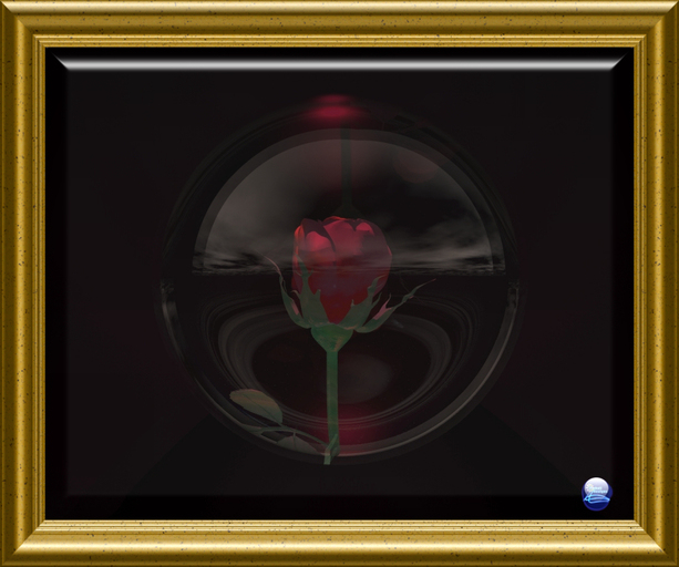 Rose In A Bubble