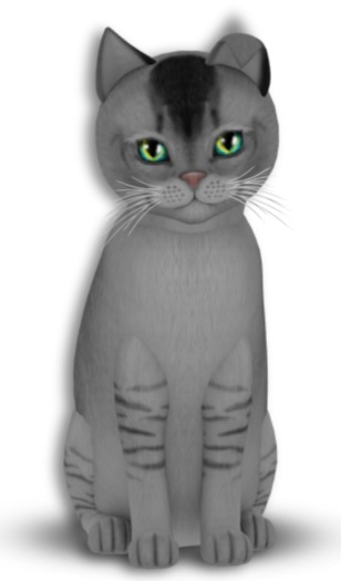 KittyCatS Box - 5T Burm BS F Ex Seas