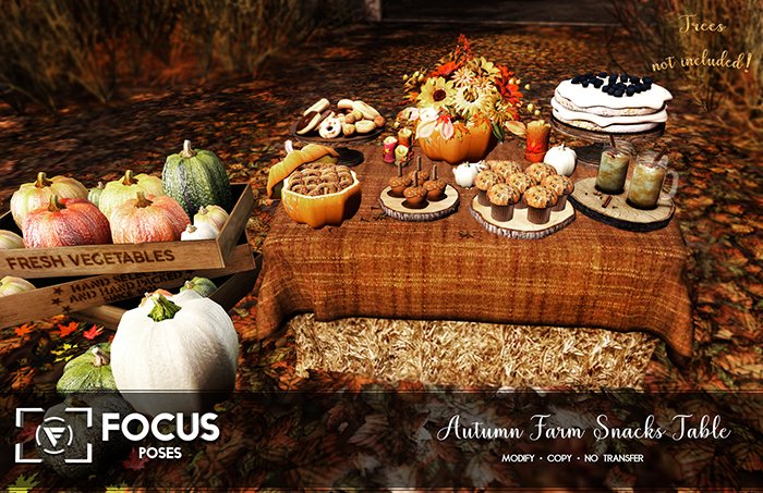 [ Focus Poses ] Autumn Farm Snacks Table
