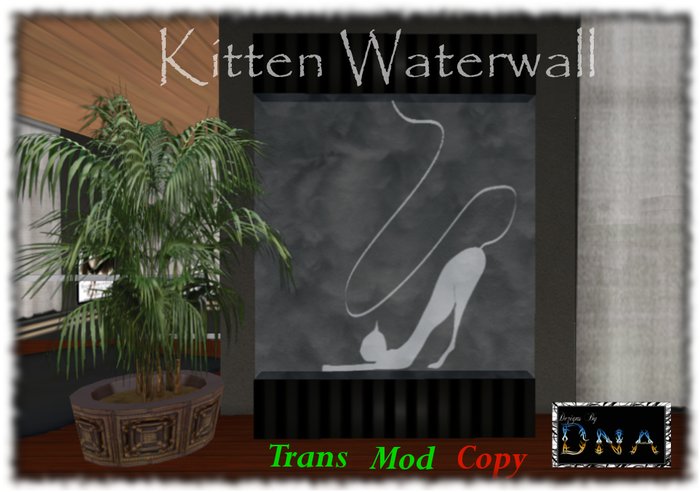 kitten Waterwall tagmeadowbrook tagtahoe