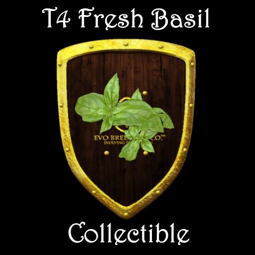 EVO*MC Collectibles - T4 Fresh Basil Ver.2017 (Qty 5)