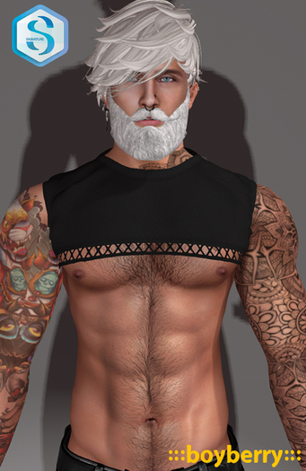 boyberry Crop Net T (Signature)