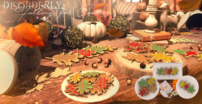 DISORDERLY. / FALLING FOR COOKIES / V1 / FANCY