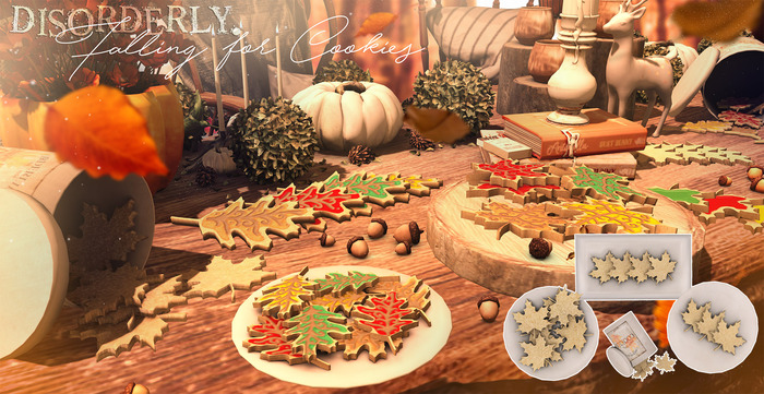 DISORDERLY. / Falling for Cookies / V1 / Plain