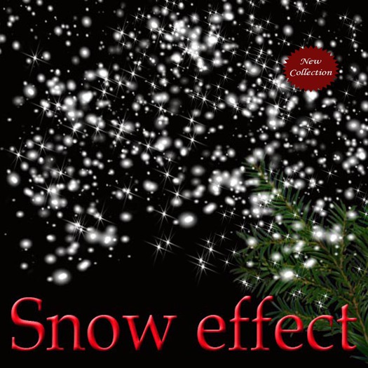 Winter snow particle