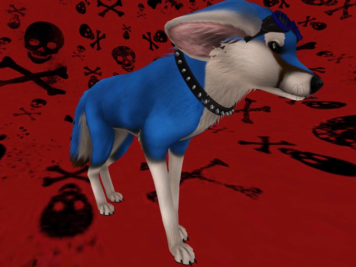 ~DMF~ Blue Fen Fox Applier