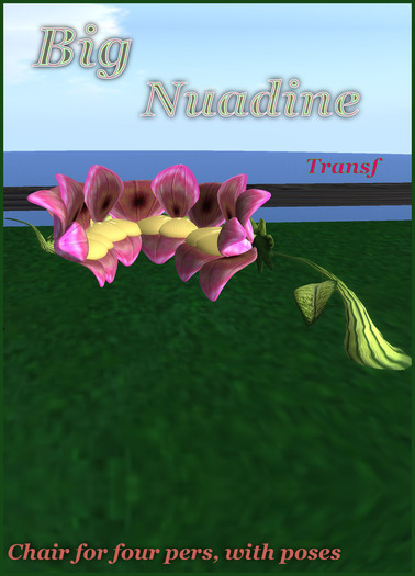 Big nuadine - flowers sit