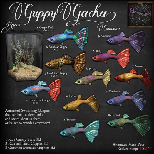1. *HEXtraordinary* Guppy Tank - RARE