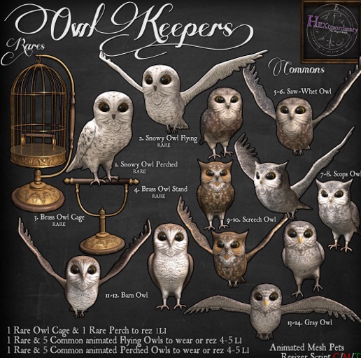 3. *HEXtraordinary* Brass Owl Cage - RARE