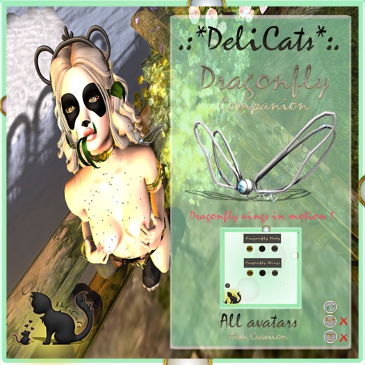 *-DeliCats-* DragonFly Companion