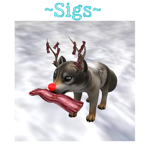 ~Sigs~ Wolf pup Bacon Antler Set