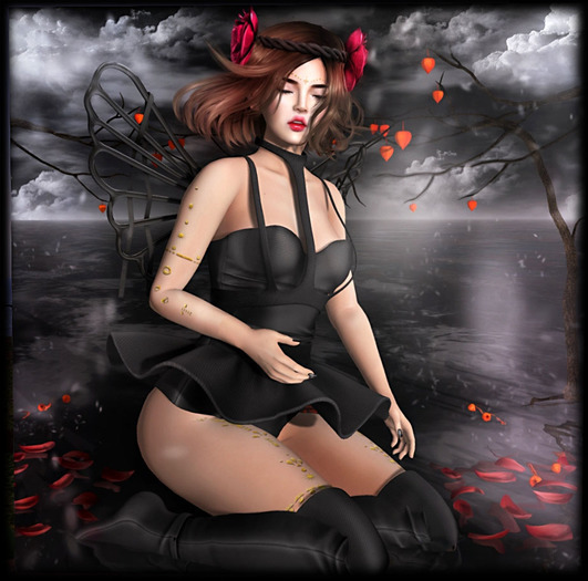 Caboodle - Marina Complete BLACK + SOI