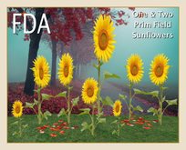 ~FDA~Field of Sunflowers COPY/RESIZE