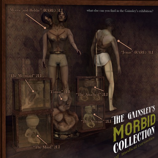 [ContraptioN] The Gainsley's Collection: The Average