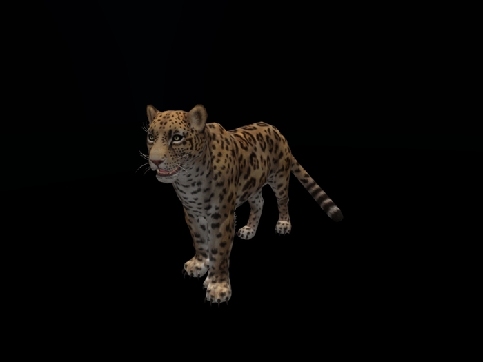 Animated Mesh leopard with sound 50% christmas discount  2 version Companion,Wander